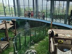 -大连森林动物园