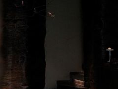 -见山茶事(丽水路店)