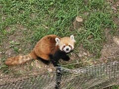 -大连森林动物园