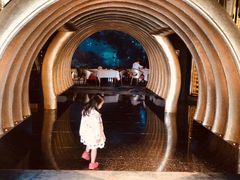 -迪拜帆船酒店海底餐厅