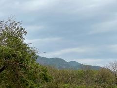 -天适樱花悠乐园