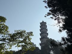 -江心屿景区