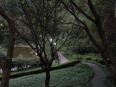 -龙头寺公园
