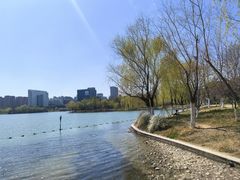 -天鹅湖体育公园