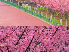 -艾溪湖湿地公园