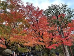 -常寂光寺