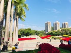 -深圳国际园林花卉博览园