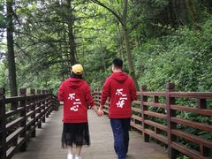 -娄山关景区