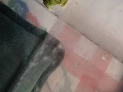 -花鸟鱼虫鲜花绿植市场(玉泉路店)