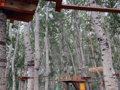 -朝阳公园游乐园