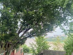 -磁器口古镇