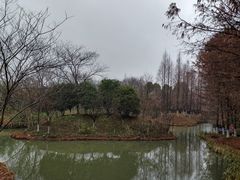 -绍兴镜湖国家城市湿地公园