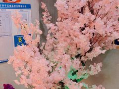 -本家食堂(华南店)