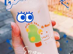 -猫的魔法密林(衣裳街店)