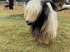 -遇见世外桃源教育农场