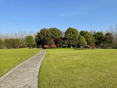 -合肥滨湖国家森林公园