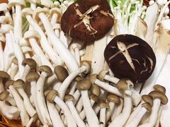 -潮澎派·潮汕菜大排档(南较西路店)