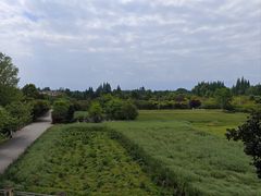 -川西坝子火锅(金沙1.0直营店)