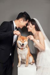 -格调婚纱摄影 (福州总店)