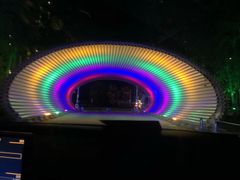 -枫花园汽车电影院(朝阳公园店)