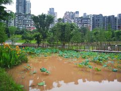 -沐仙湖湿地公园