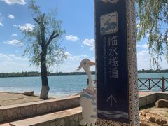 -丁香湖公园