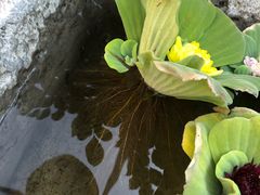 -新竹里馆·花园餐厅(兴苑路店)