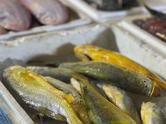 -中国舟山国际水产城