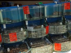 水产区-聚德福海鲜家常菜(刘庄店)