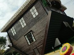 -金山农民画村-枫泾波兰倒置屋