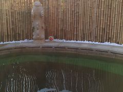 -大连金石滩绿发温泉假日酒店
