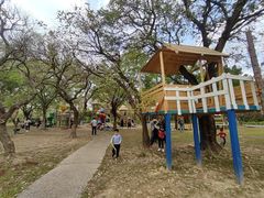 -广东花都香草世界旅游度假区