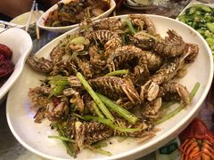 -指爱龙虾(金杨路总店)