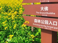 -苏州上方山国家森林公园