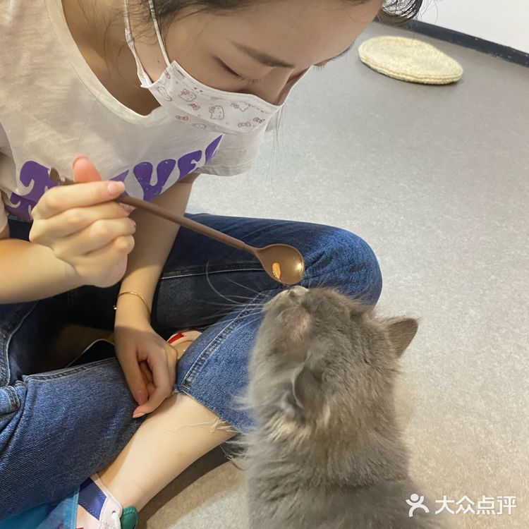 这是温州隐藏猫咖吗？！