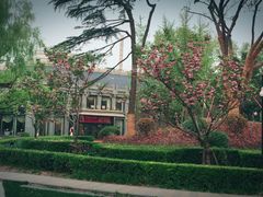 -御花园·粤菜·海鲜火锅(中山公园店)