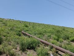 -定都峰