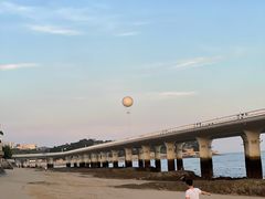 -演武大桥观景平台