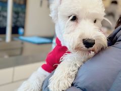 -小意思咖啡店(草桥店)