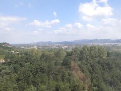 -李东农庄(中南百草园地标店)