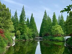 -东平国家森林公园