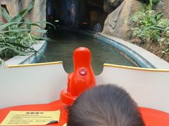 游乐设施-南宫五洲植物乐园