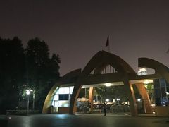 -金花茶公园
