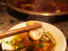 小龙坎肥肠-小龙坎火锅(双林店)