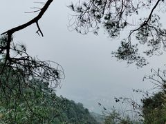 -缙云山景区