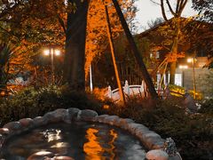 -地中海传奇水汇