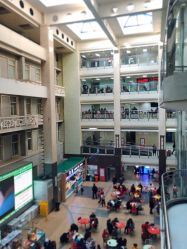 -首都医科大学附属北京儿童医院