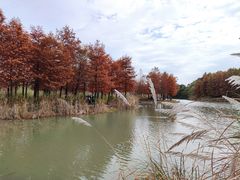 -梁鸿国家湿地公园