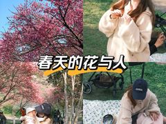 -堤角公园