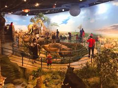 -陕西自然博物馆